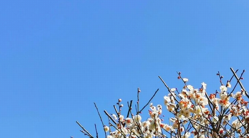 西宮・橋本鍼灸院トップ画像２